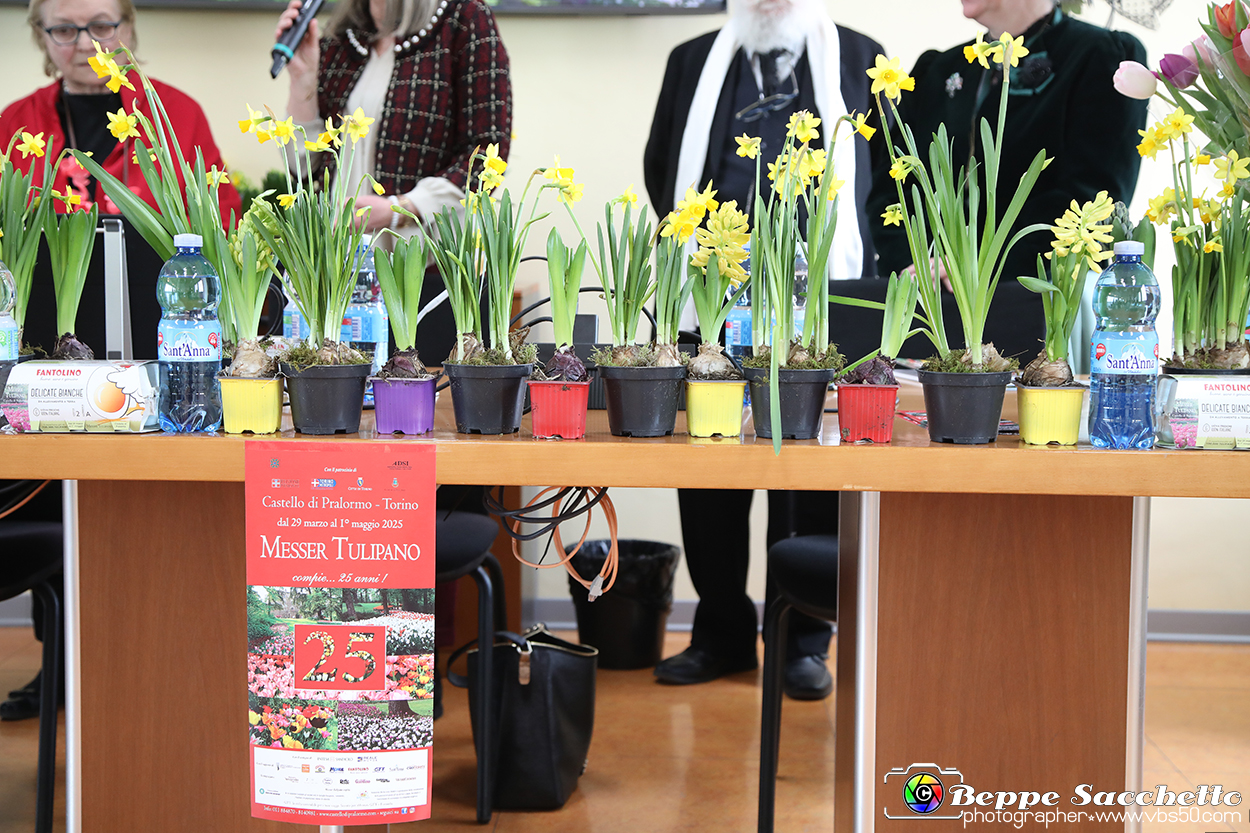 VBS_1023 - Presentazione Messer Tulipano 2025 - 25.ma edizione.jpg